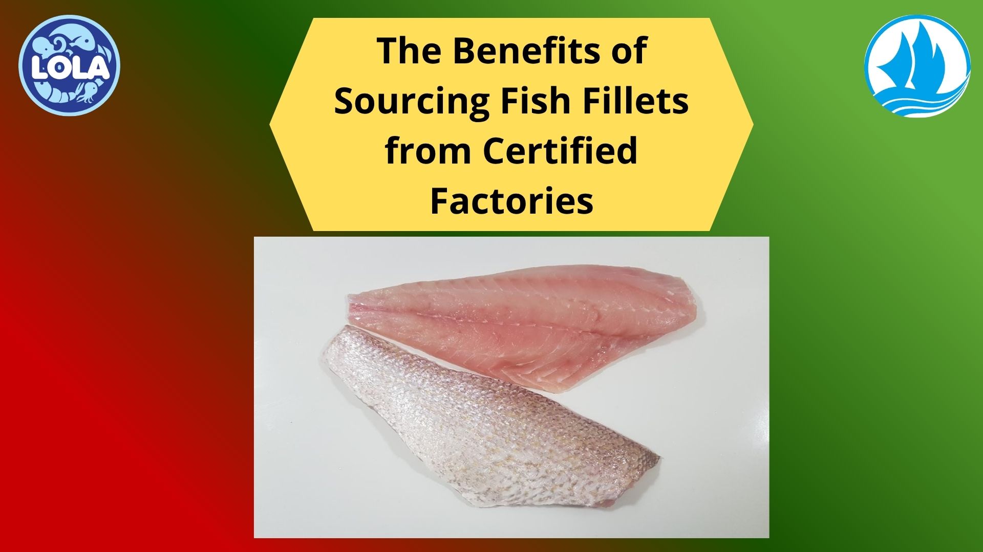  The Benefits of Sourcing Fish Fillets from Certified Factories